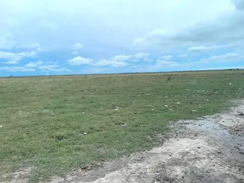 Campo sobre Ruta 11 - Berisso