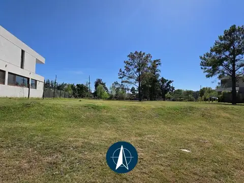 laguna grande al 200