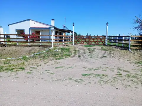 Venta finca de 20 Hectáreas en San Rafael- MENDOZA.