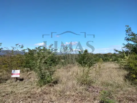 Terrenos de 500m2 sobre calle Rosas