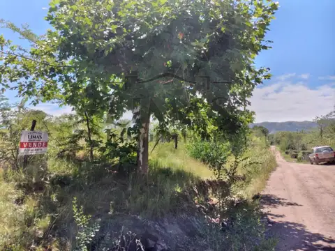 Terreno en Venta 37,50  mts Fondo