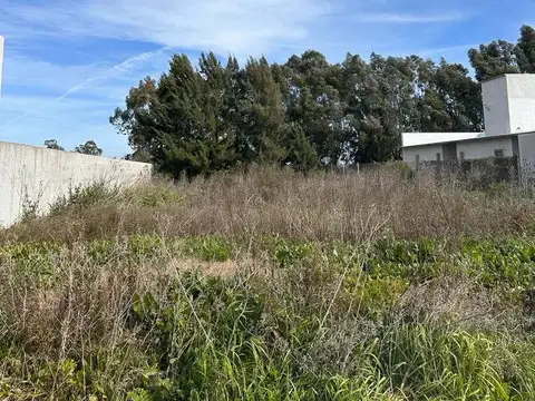 Prolongación P.Barbosa