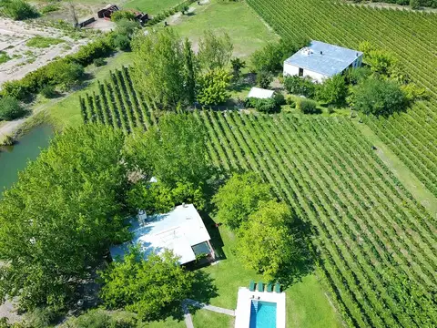 Inportante Finca Ubicada en Maipu para desarrollo inmobiliario o enoturistico