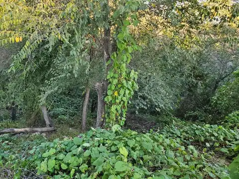 Terreno en Venta en Bialet Masse, USD 8.500