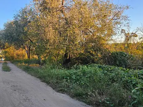 Terreno en Venta de 800,0 m2