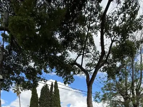 491 e/ 26 y 27 3100, Piso 0