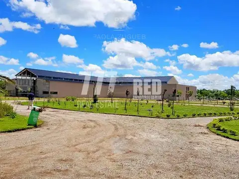 Local en Alquiler A Estrenar