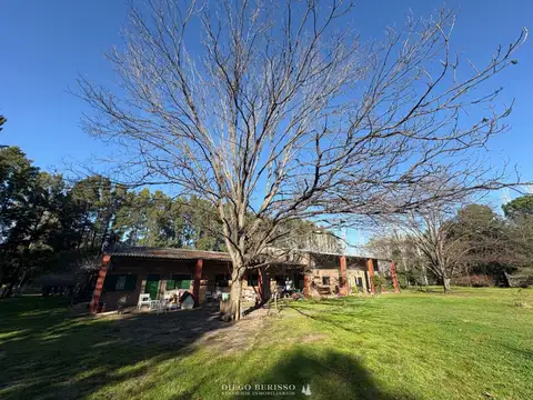 CAMPO EN PANAMERICANA ZARATE