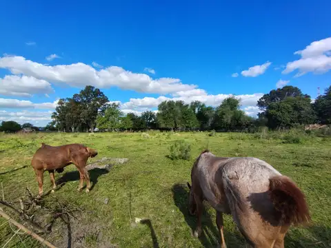 Terreno 4 hectareas en Presidente Derqui