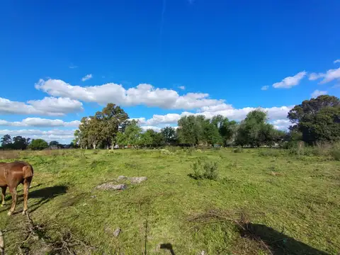 Terreno en Venta de 42045,0 m2