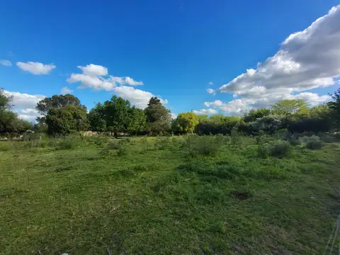 Terreno en Venta de 42045,0 m2