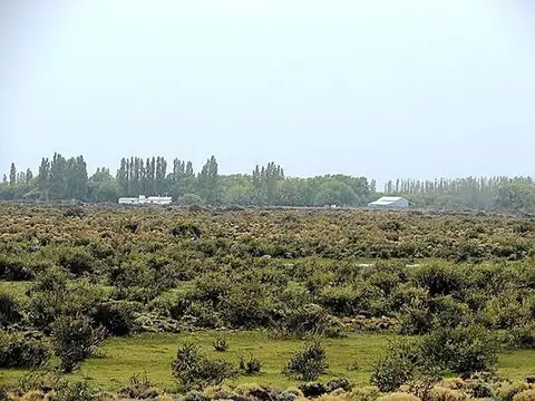 INMOBILIARIA COMODORO - 13.000 has sobre el Río Senguer