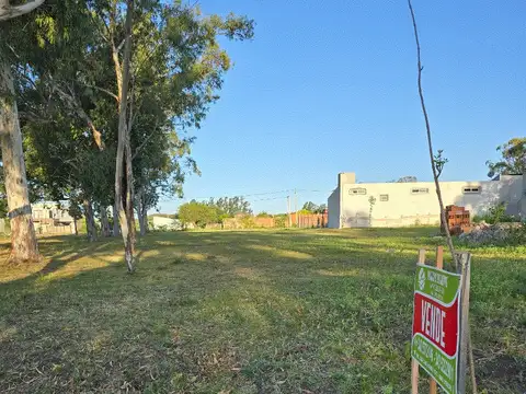 las viuditas 200, Piso 0