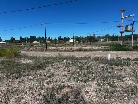 María Eugenia Figueroa