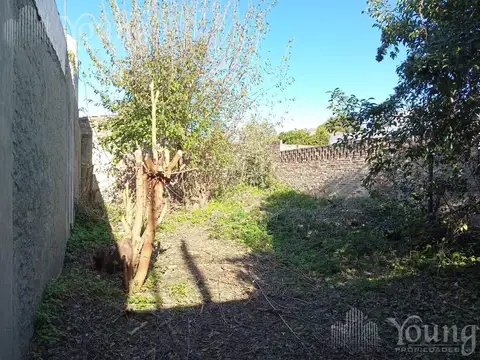 Centenario Uruguayo al 900