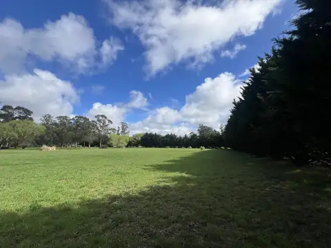 ALQUILER USO COMERCIAL | CASA QUINTA 1 Ha | AV J NEWBERY al 1000