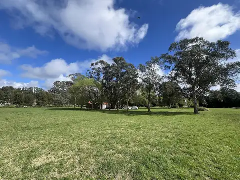 Quinta en Alquiler en Mar del Plata, USD 1.500