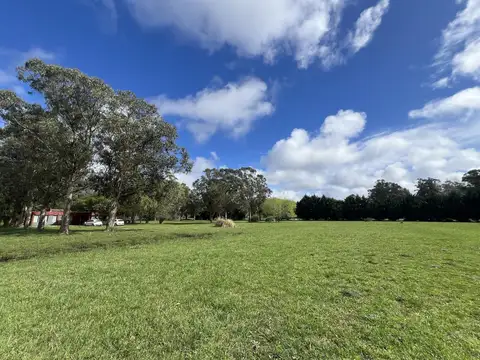 ALQUILER USO COMERCIAL | CASA QUINTA 1 Ha | AV J NEWBERY al 1000