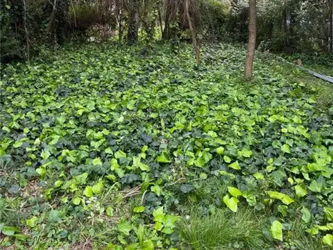 Patricias Argentinas al 3500