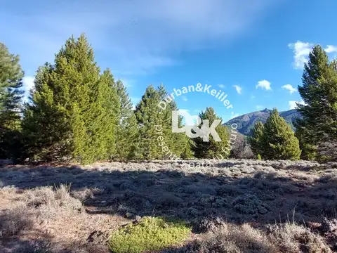 Terreno en Venta 20  mts Fondo