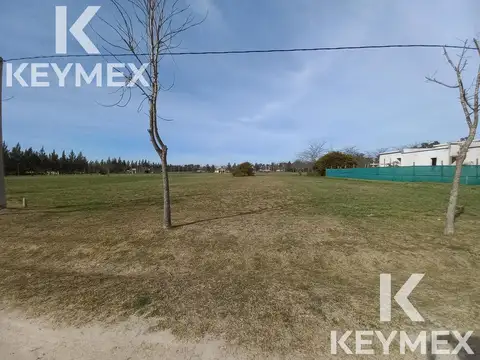 CAMPOS DE ROCA II, RUTA2 KM 65