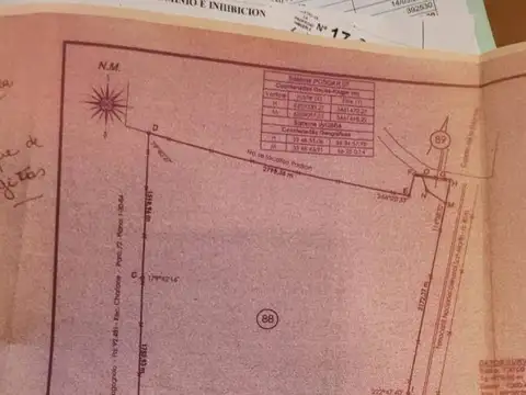 CAMPO GANADERO EN VENTA SAN LUIS, ZANJITAS