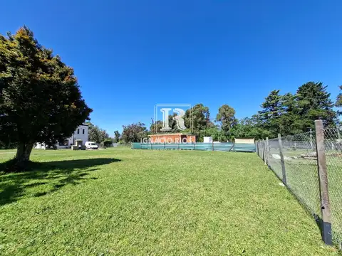 Independencia y libertad 1200