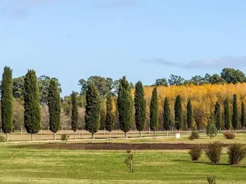 Terreno en Venta de 798,0 m2