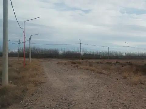 Ruta 51, Fincas de Vista Alegre IV 100