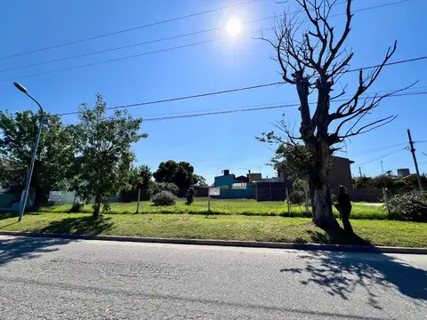 Terreno en Venta en Los Pinares, USD 39.800