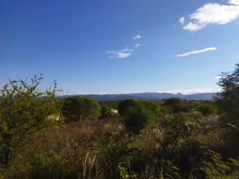 Terreno en Venta de 1549,0 m2