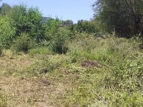 Terreno en Venta en Villa Parque Siquiman, USD 13.900