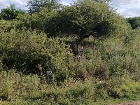 Terreno en Venta en Villa Parque Siquiman, USD 13.900