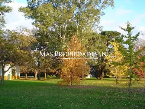 Venta Terreno / Lote en Campo Daromy San Vicente