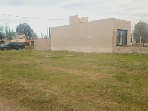 Silvestre Begnis 1000