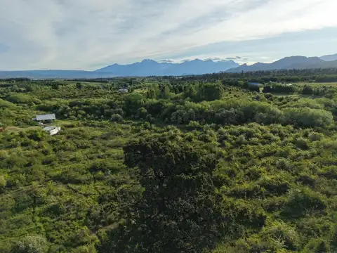 Callejón Palma - Parcela 32