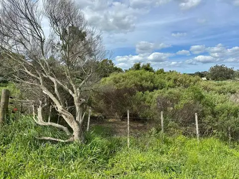 Terreno en Venta de 725,0 m2