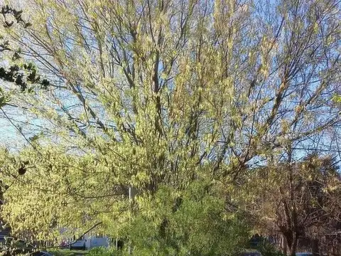 Terreno en venta - 268mts2  - Melchor Romero