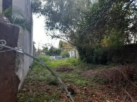 ENTRE SAN MARTIN Y SAN CARLOS