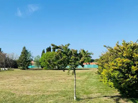 Terreno en Venta 53  mts Fondo