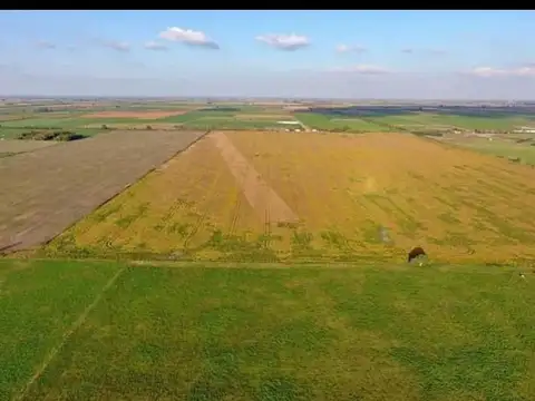 Campo agrícola 28 has Humboldt, Las Colonias, santa Fé