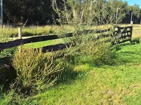 Terreno en Venta de 800,0 m2