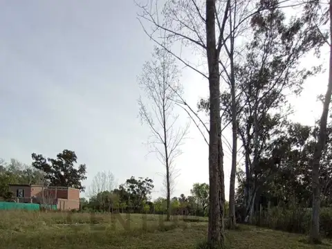 Terreno en Venta 35  mts Fondo