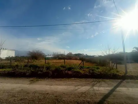 Cerrillos. El Mollar. Mza 25. Lote 100