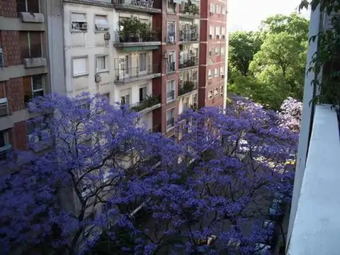 Departamento en Alquiler Temporal 12 años