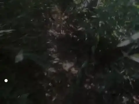 Terreno en Venta en Francisco Alvarez, USD 33.000