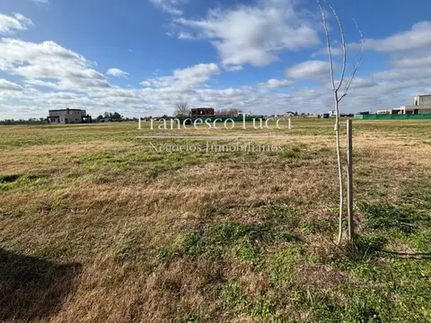 Lote en venta Village Joven Bellavista