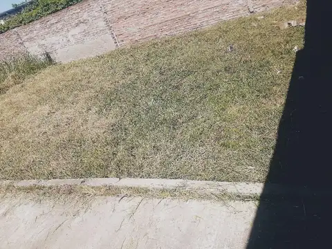 Vélez Sarsfield al 2500