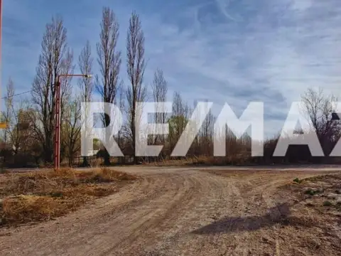 Terreno en Venta en General Roca, USD 12.500