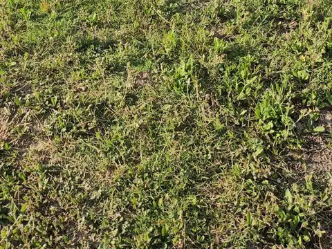 Lote en Venta, Barrio Elcano a la laguna , Etapa 1